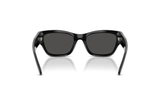 Rear view Ralph Lauren RL8240U (500187)