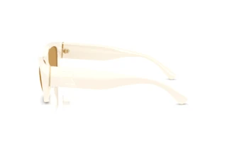 Side view Ralph Lauren RL8240U (635273)