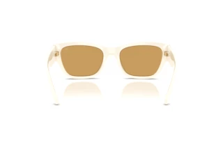 Rear view Ralph Lauren RL8240U (635273)