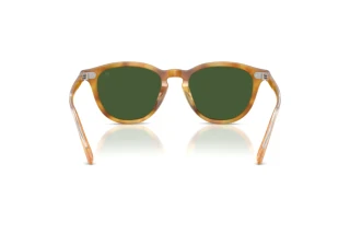 Rear view Ralph Lauren RL8241U (618571)