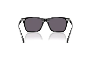 Rear view Ralph Lauren RL8242U (50011A)