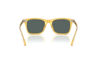 Rear view Ralph Lauren RL8242U (50053R)