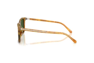 Side view Ralph Lauren RL8242U (618571)