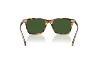 Rear view Ralph Lauren RL8242U (633971)