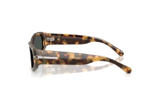 Side view Ralph Lauren RL8243U (617887)