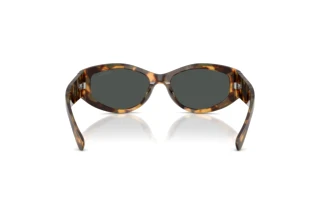 Rear view Ralph Lauren RL8243U (617887)