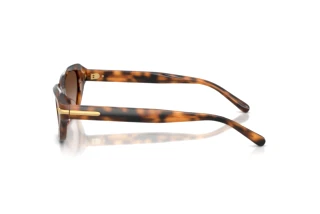 Side view Ralph Lauren RL8244U (608913)