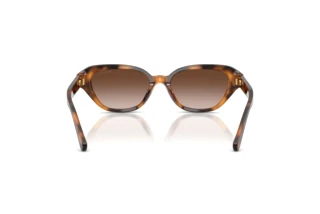 Rear view Ralph Lauren RL8244U (608913)