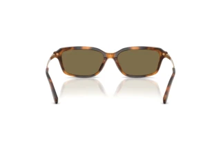 Rear view Ralph Lauren RL8245U (608973)
