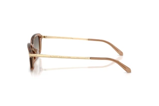 Side view Ralph Lauren RL8245U (637708)