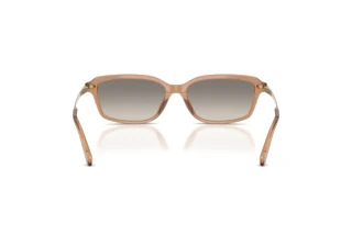 Rear view Ralph Lauren RL8245U (637708)
