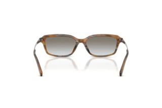 Rear view Ralph Lauren RL8245U (637911)