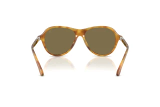 Rear view Ralph Lauren RL8247U (618573)