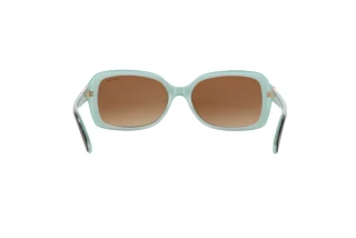 Rear view Ralph RA5130 (601/13)