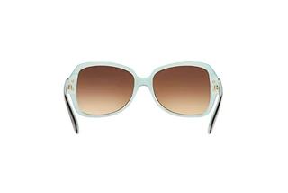 Rear view Ralph RA5138 (601/13)