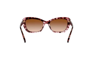 Rear view Ralph RA5264 (584513)