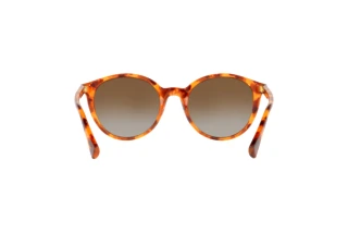 Rear view Ralph RA5273 (5885T5)