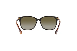 Rear view Ralph VVCV (RA5293 - 60378E)