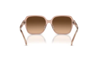 Rear view Ralph RA5304U (611474)