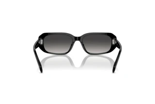 Rear view Ralph RA5311U (50018G)