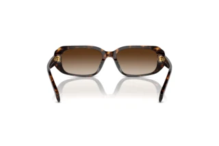 Rear view Ralph RA5311U (500313)