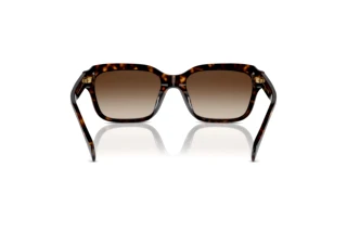 Rear view Ralph RA5312U (500313)