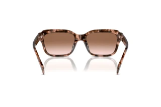 Rear view Ralph RA5312U (605813)