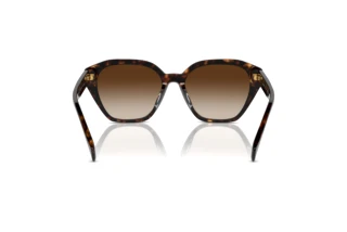 Rear view Ralph RA5315U (500313)