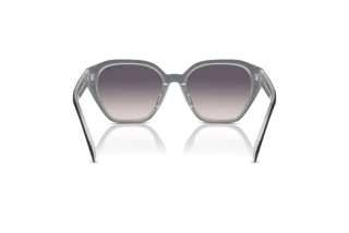 Rear view Ralph RA5315U (606636)
