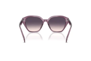 Rear view Ralph RA5315U (620736)