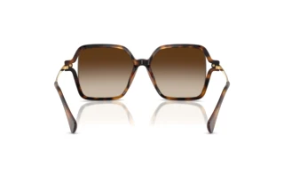 Rear view Ralph RA5319U (500313)