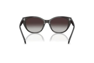 Rear view Ralph RA5324U (55368G)