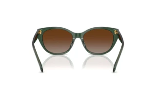 Rear view Ralph RA5324U (6206T5)