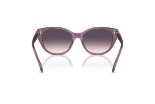 Rear view Ralph RA5324U (620736)