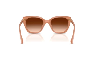 Rear view Ralph RA5330U (623774)