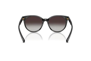 Rear view Ralph RA5331U (50018G)
