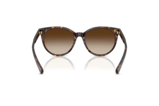 Rear view Ralph RA5331U (500313)
