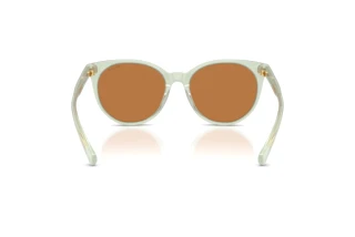 Rear view Ralph RA5331U (604973)
