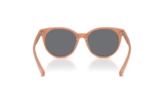 Rear view Ralph RA5331U (623787)