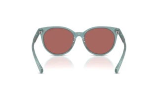 Rear view Ralph RA5331U (624069)