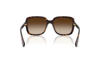 Rear view Ralph RA5333U (500313)