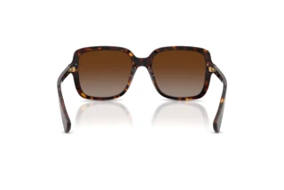 Rear view Ralph RA5333U (5003T5)