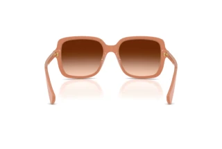 Rear view Ralph RA5333U (623774)