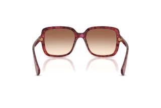 Rear view Ralph RA5333U (623913)