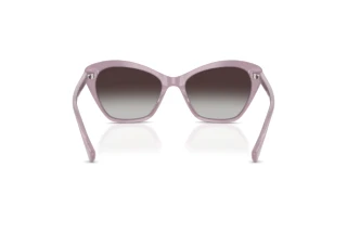Rear view Ralph RA5337U (62388G)