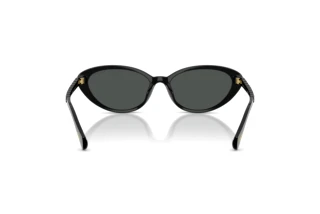 Rear view Ralph RA5338U (500187)