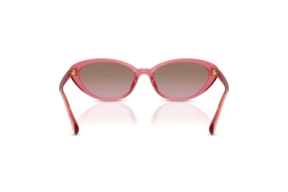 Rear view Ralph RA5338U (628614)