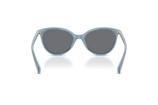 Rear view Ralph RA5339U (629287)