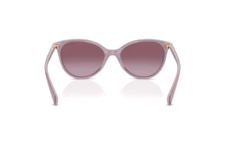 Rear view Ralph RA5339U (62938H)