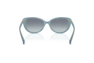 Rear view Ralph RA5340U (629219)